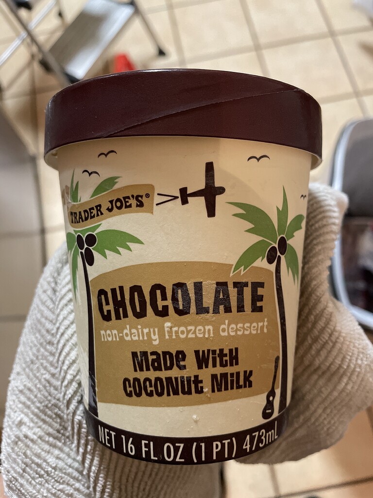 Trader joes chocolate coconut milk ice cream Pesach Ohel Torah